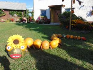 Najlepše urejena domačija na temo jesen in buče 14